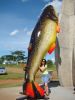 Ficheiro=DSC07559.JPG
Tamanho=310KB
Dimensões=778x1037
Data de envio=Dez 31, 2012 DSC07559.JPG
