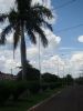 Ficheiro=DSC07924.JPG
Tamanho=303KB
Dimensões=778x1037
Data de envio=Dez 31, 2012 DSC07924.JPG