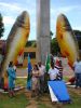 Ficheiro=DSC06833.JPG
Tamanho=343KB
Dimensões=778x1037
Data de envio=Dez 31, 2012 DSC06833.JPG