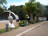 DSC06864.JPG