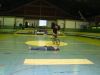 Ficheiro=DSC00230.JPG
Tamanho=138KB
Dimensões=640x480
Data de envio=Mai 26, 2009 DSC00230.JPG