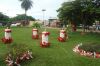 Ficheiro=DSC05321.JPG
Tamanho=499KB
Dimensões=1843x1229
Data de envio=Dez 16, 2009 DSC05321.JPG
